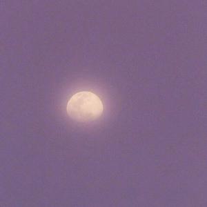 男人和女人真曰批
